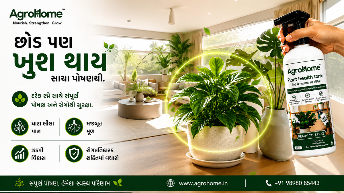 છોડ પણ ખુશ થાય સારા પોષણથી
