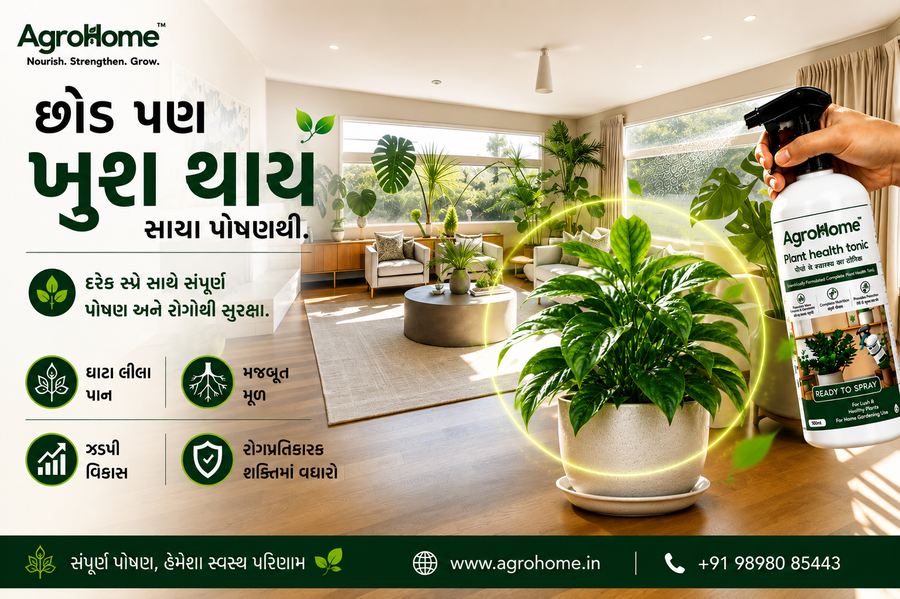 છોડ પણ ખુશ થાય સારા પોષણથી